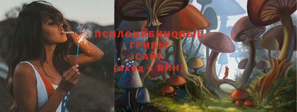 бошки Белоозёрский