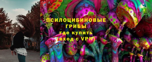а пвп мука Бородино
