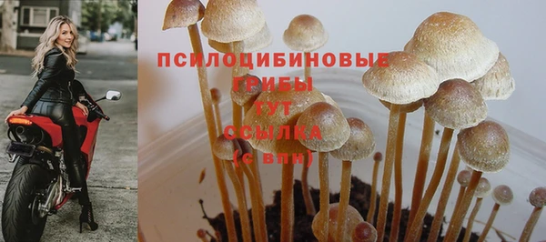 метадон Верея