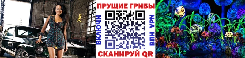 Псилоцибиновые грибы прущие грибы  магазин  наркотиков  Светлогорск 