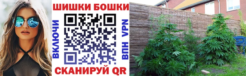 Канабис White Widow  как найти закладки  Светлогорск 